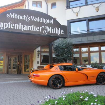 Schwarzwald 2011 010