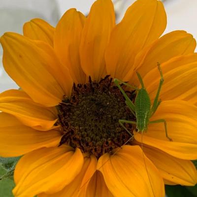 Whatsapp Image 2021 07 23 At 19.19.06