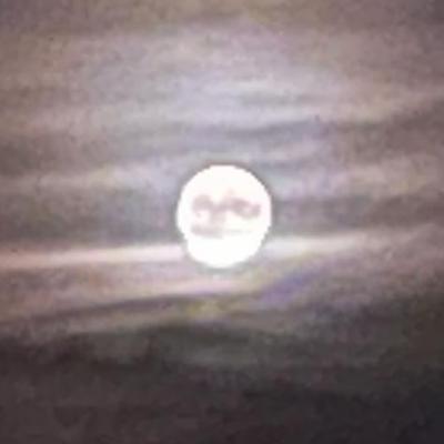 Whatsapp Image 2021 07 23 At 23.00.14