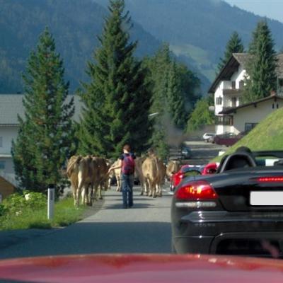 050903 Montafon Vcd 053