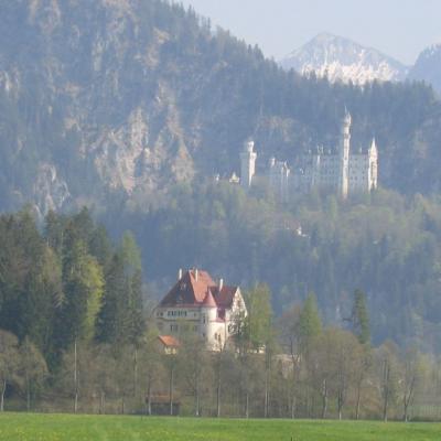 Img 4949